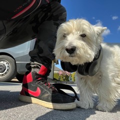Little AIRPLANE and DJ Westie Lun
