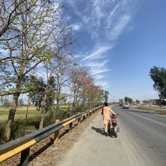 Fazal Shafique