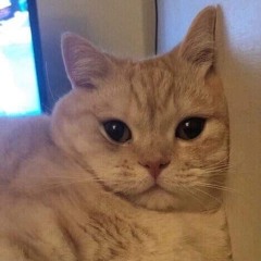 강태호