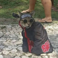 Kyokusen