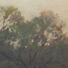 barren