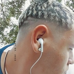 sfc._bryan