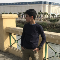 Anas el sayed