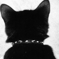 kittiblouse