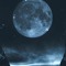 Doll_yashool