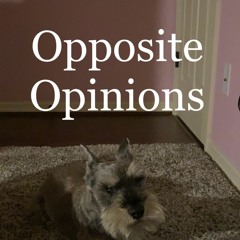 Opposite Opinions