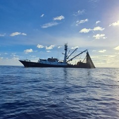 ☆☆KS George☆☆