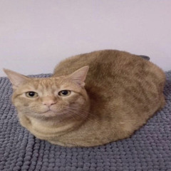 jeppe (musik enthusiast )