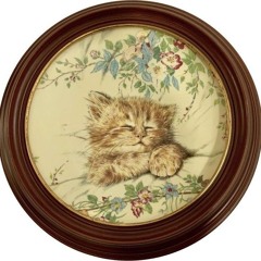 Chromatic serenity 🖖🏼