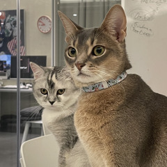 모두를 위한 번영