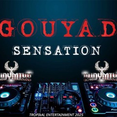 TROPICAL ENTERTAINMENT