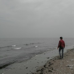 Alireza GH