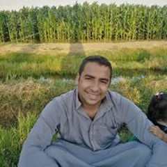 احمد المغربي
