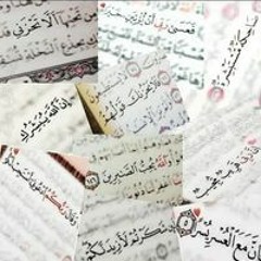 Omnia Mohamed