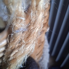 Максим добрый