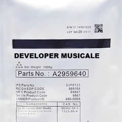 Developer Musicale