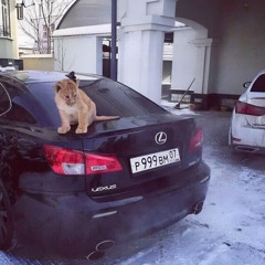 006_incognito
