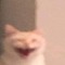 Flompy
