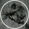 le.poete