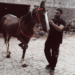 SunnyBal_13
