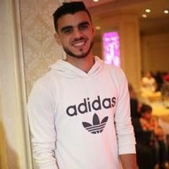 Hesham Elnagar
