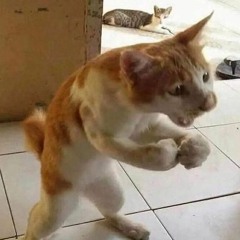 chrissyboi