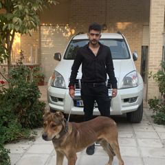 aliReza hafezi