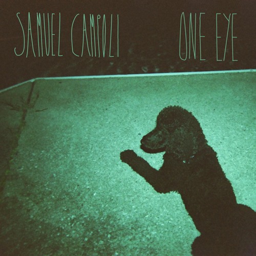 Samuel Campoli’s avatar