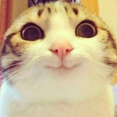 moi