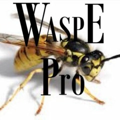 Wasp-E