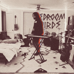 Bedroom Birds