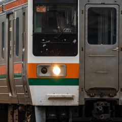 尹