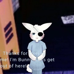《 | ° Bunny ° | 》
