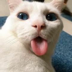 Duy Nong