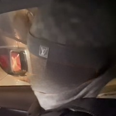 L7