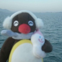 PINGUUU