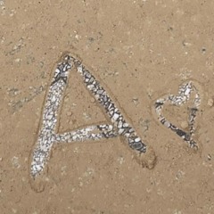 ؛