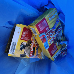lunchable_chic