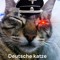 deutsche katze