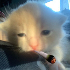 퍼스널컬러전담