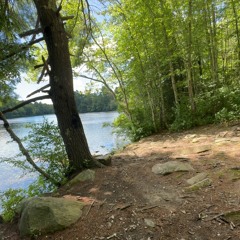 lifta