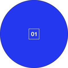 SO/01