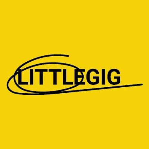 Littlegig Festivals & Retreats’s avatar