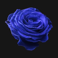 𝖙𝖍𝖔𝖗𝖓𝖈𝖔𝖗𝖕𝖘