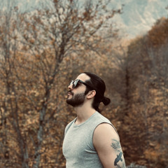 taha salimi