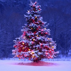 Baby Xmas