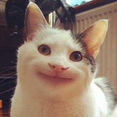 แมวยิ้ม