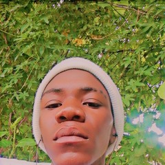 official Sparifar zm