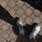 stuffmyruntz