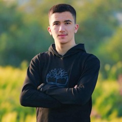 Hadi nassar
